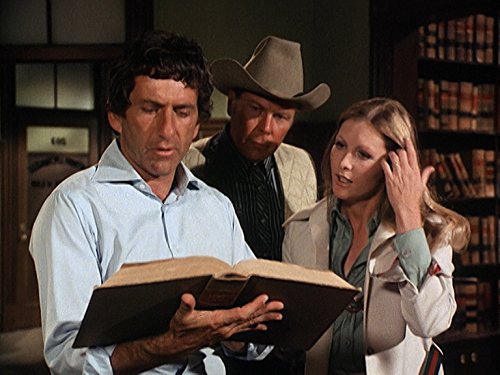 Petrocelli - Staffel 1 [7 DVDs], DVD