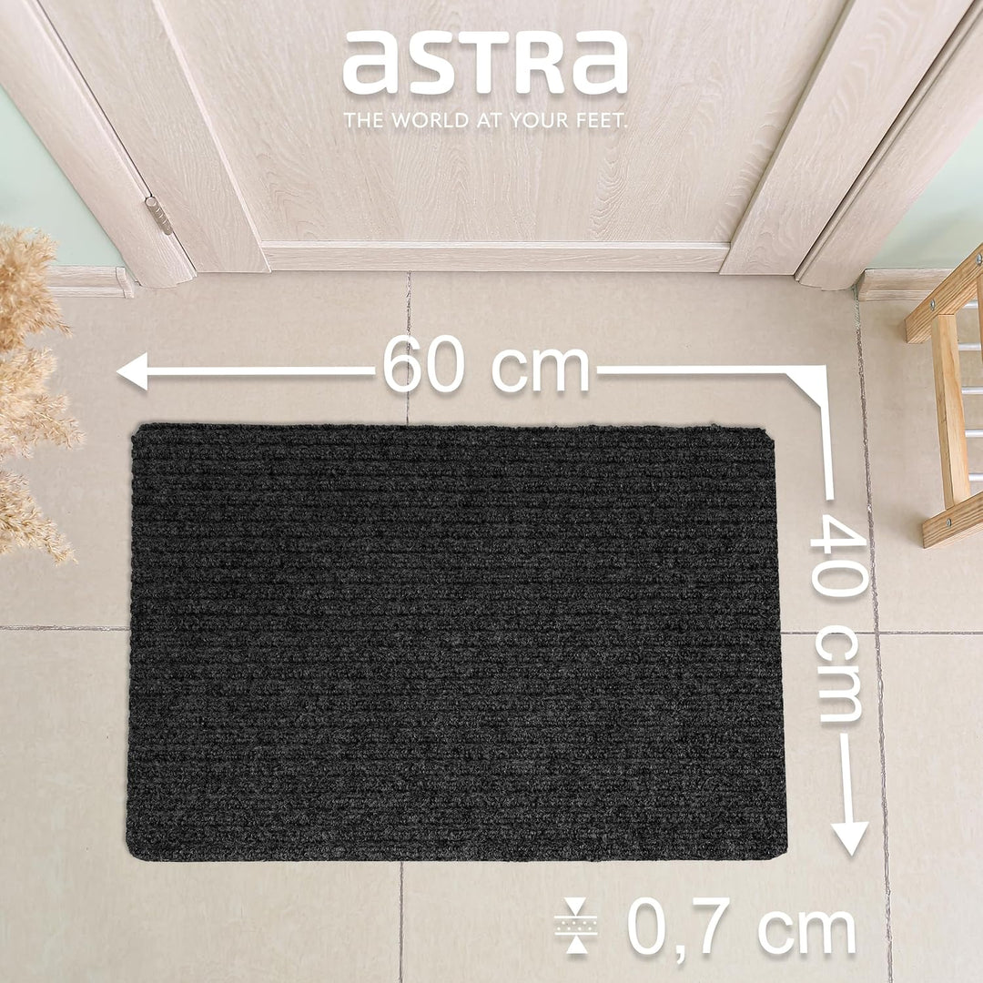 Astra Fussmatte innen anthrazit Schmutzfangmatte rutschfest – Türmatte 40x60 cm wasserabweisend – Ri