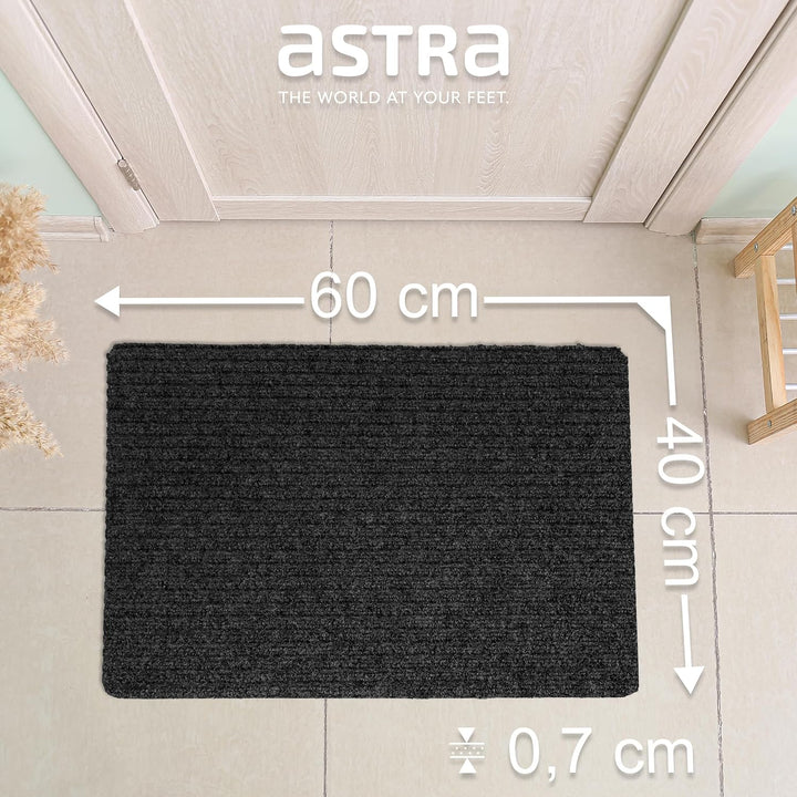 Astra Fussmatte innen anthrazit Schmutzfangmatte rutschfest – Türmatte 40x60 cm wasserabweisend – Ri