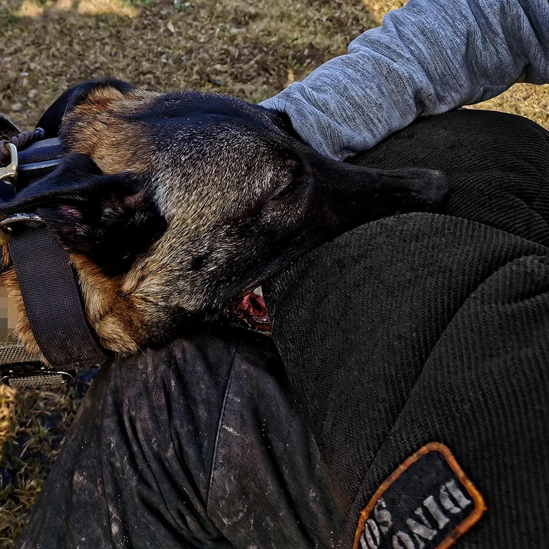 Dingo Gear Schutzarm Extern Soft aus Nylcot Schwarz Bissmanschette Hundeausbildung Hundetraining Bis