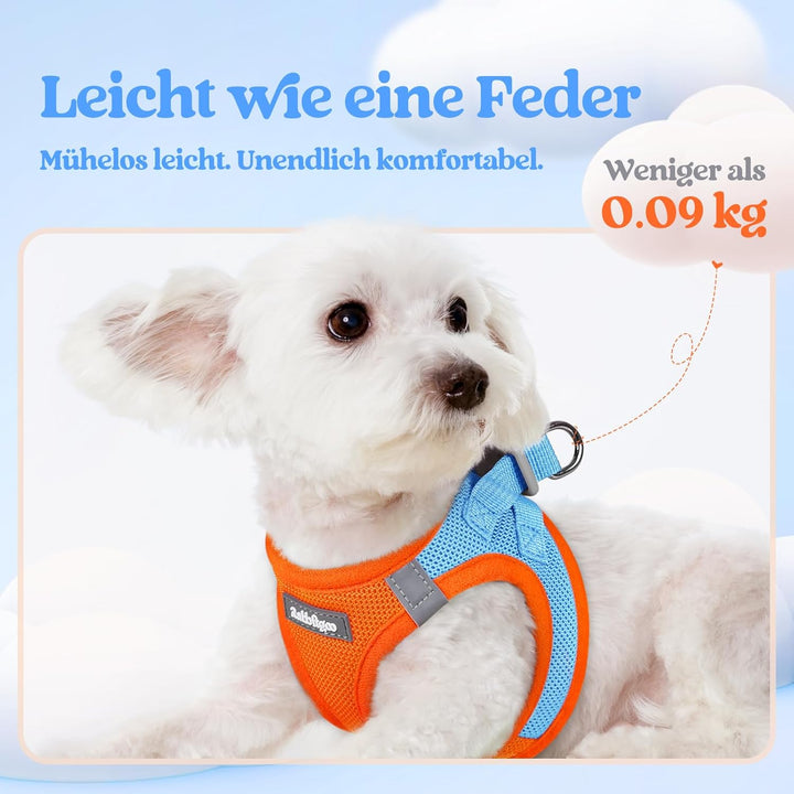 rabbitgoo Hundegeschirr Kleine Hunde mit Leine, Step-in Welpengeschirr Weich Mesh für Spaziergänge,
