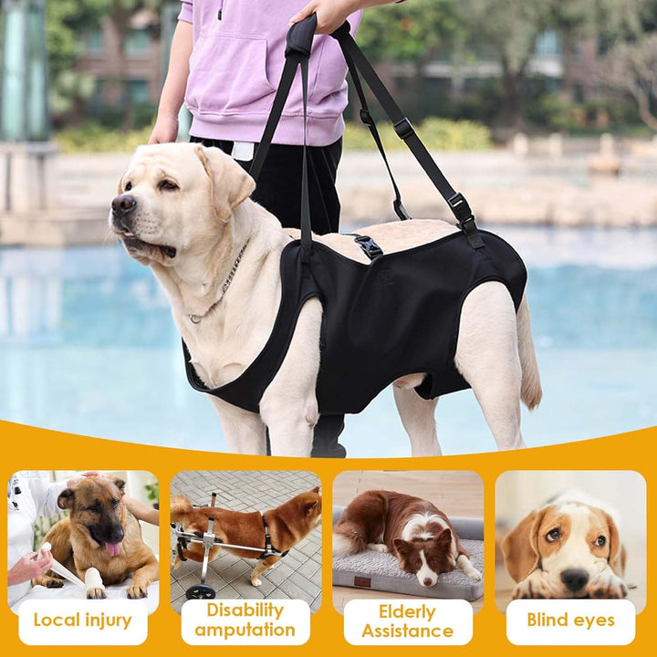Hundeliftgeschirr, Haustierunterstützung Hund Lift Support für Hunde, Rehabilitation Geschirr Mobili