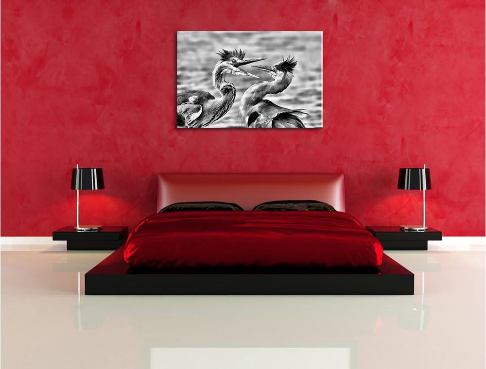 Monocrome, Zankende Vögel, Format: 100x70 auf Leinwand, XXL riesige Bilder fertig gerahmt mit Keilra