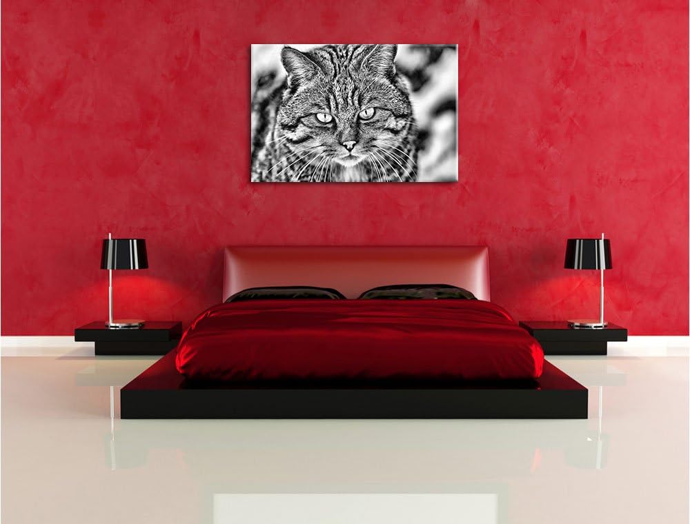 Monocrome, lauernde Manul, Format: 100x70 auf Leinwand, XXL riesige Bilder fertig gerahmt mit Keilra