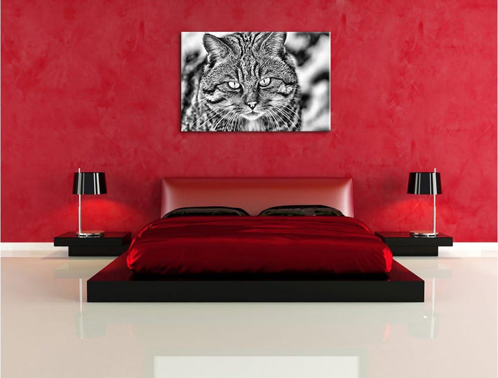 Monocrome, lauernde Manul, Format: 100x70 auf Leinwand, XXL riesige Bilder fertig gerahmt mit Keilra