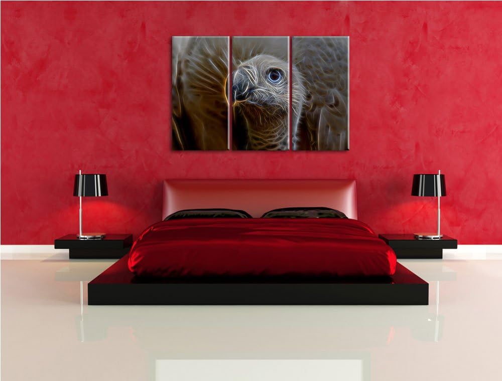 aussergewöhnlicher Geier NewArt 3-Teiler Leinwandbild 120x80 Bild auf Leinwand, XXL riesige Bilder f