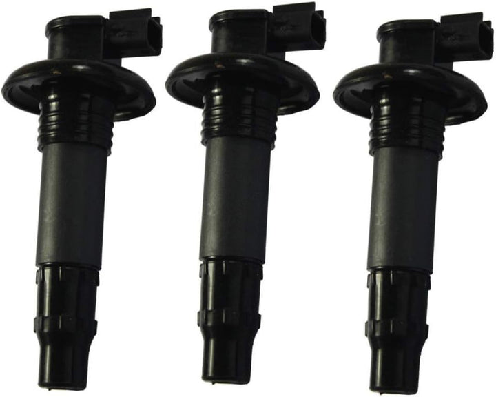 Zündspulen 420664020 296000307 Set für Motorrad Roller GTX RXT RXP GTS Wake 4-TEC-4TEC