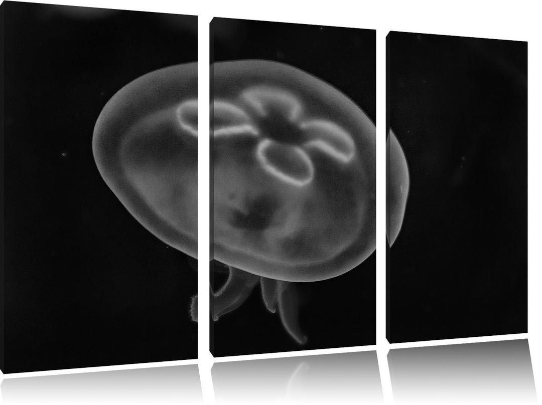 Pixxprint Monocrome, Leuchtend Blaue Qualle 3-Teiler Leinwandbild 120x80 Bild auf Leinwand