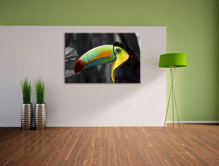 schöner stolzer Tukan schwarz/weiss auf Leinwand, XXL riesige Bilder fertig gerahmt mit Keilrahmen,