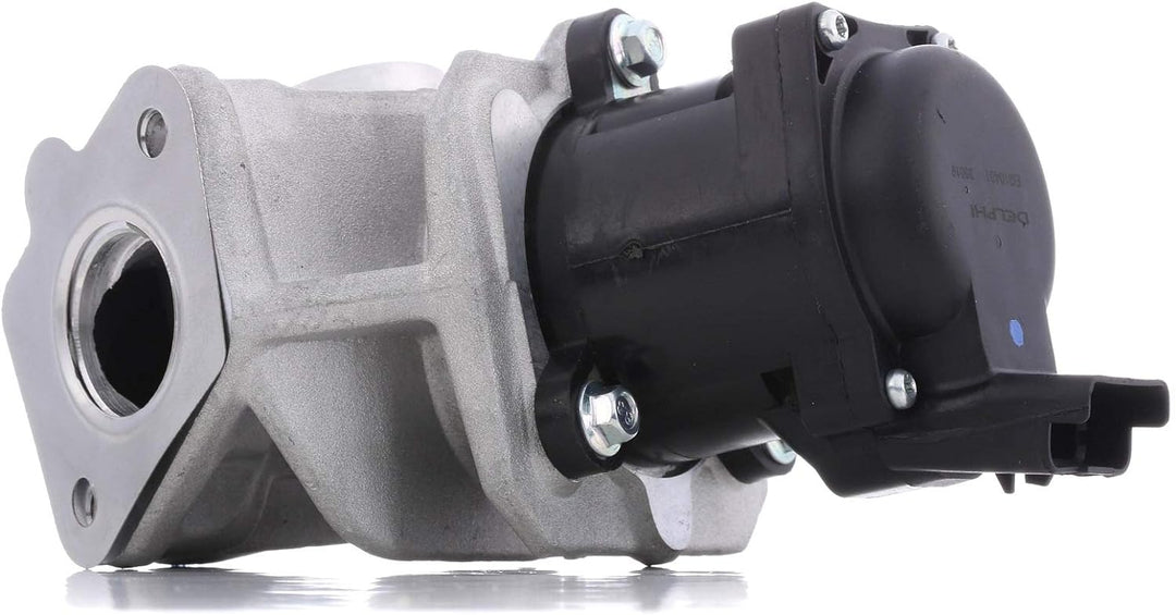 Delphi Agr-Ventil EG10401-12B1