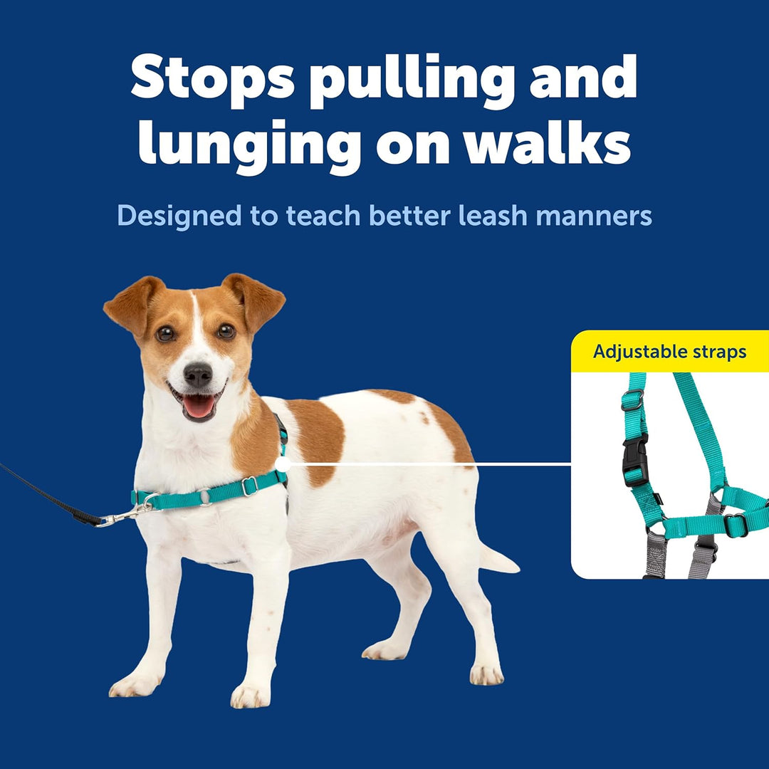 PetSafe, Easy Walk Hundegeschirr, das ultimative Geschirr gegen Ziehen bei Spaziergängen, übernimm d
