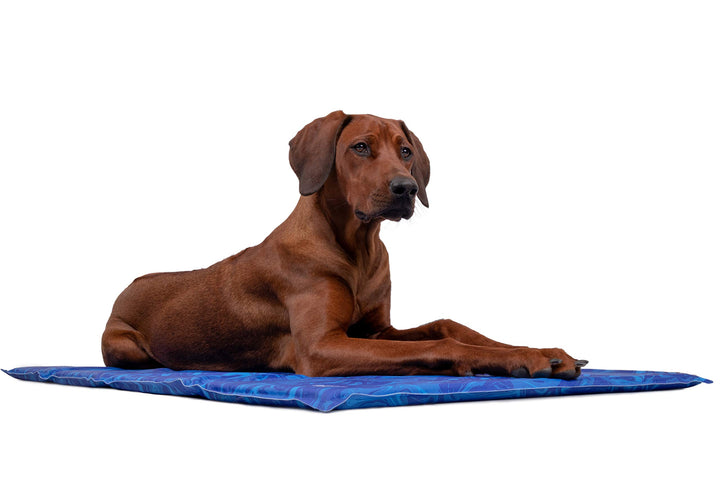 TrendPet Arctic Comfort - 20mm Premium Kühlmatte für Hunde, Hundekühlmatte, selbstkühlende Matte für