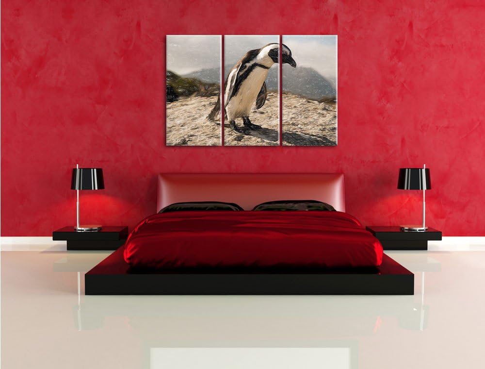 Pixxprint Afrikanischer Pinguin beobachtet als Leinwandbild/Grösse: 3 Teilig (120x80) cm/Wandbild/Ku