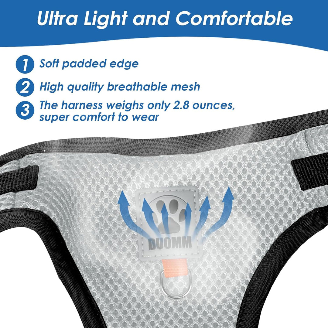 Katzen Geschirr Set mit Leine,Automatischem Katzengeschirr für Kleine Hunde mit 5 m/16,4 Fuss,Katzen