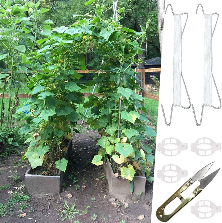 Tomatenhaken mit Schnur, 50Stück Tomatenhaken Metall, Robuster Tomatenhaken | Tomatenhaken mit 100 P