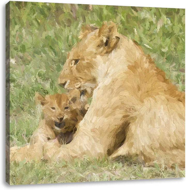 stolzer Löwe in Steppe, Format: 70x70 auf Leinwand, XXL riesige Bilder fertig gerahmt mit Keilrahmen