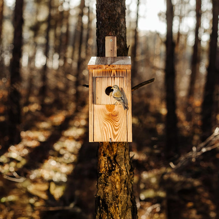 Creative Home Nistkasten für Vögel für Draussen Wetterfest | Geflammt | Vogelnistkasten aus Kiefernh