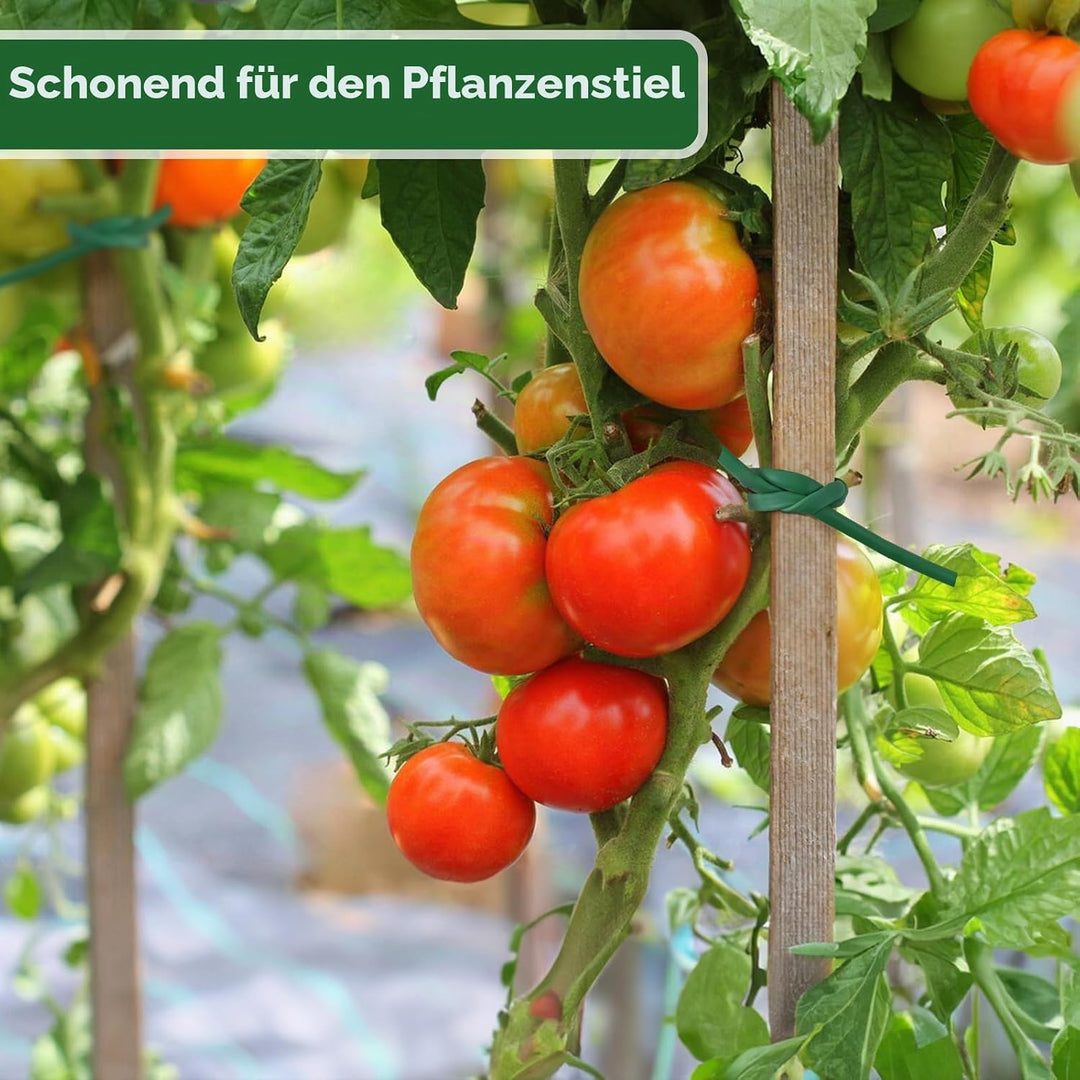 KINGLAKE Hohlschnur, Bindeschlauch 3mm x 100m, Pflanzenschnur Gartenschnur Wetterfest Reissfest, Pfl