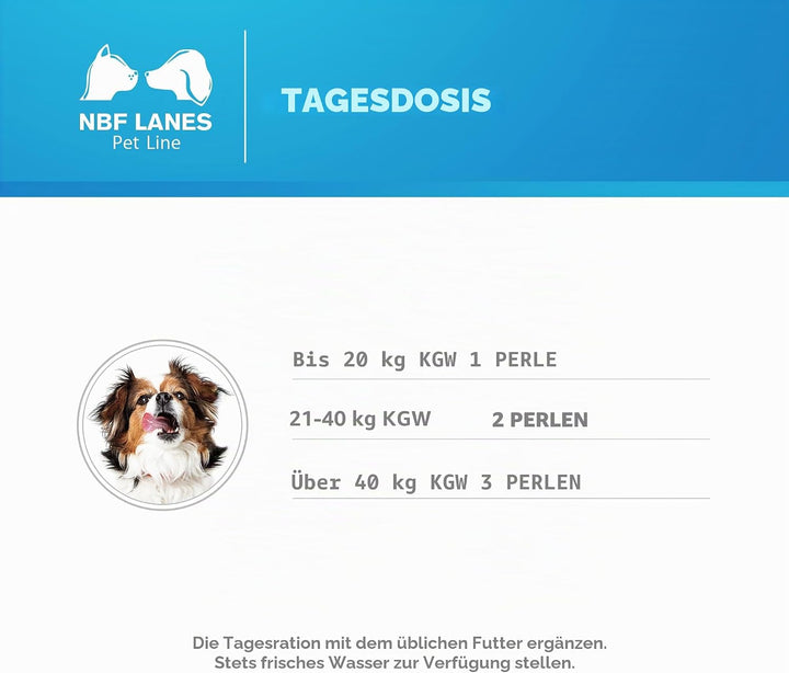 NBF Lanes | Nefrokrill Hund und Katze, 60 Appetable Perlen, Unterstützung der Nierenfunktion bei chr