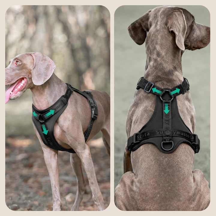 No Pull Hundegeschirr mit weicher Lycra-Polsterung, atmungsaktiver Komfortweste aus Mesh, Verstellba