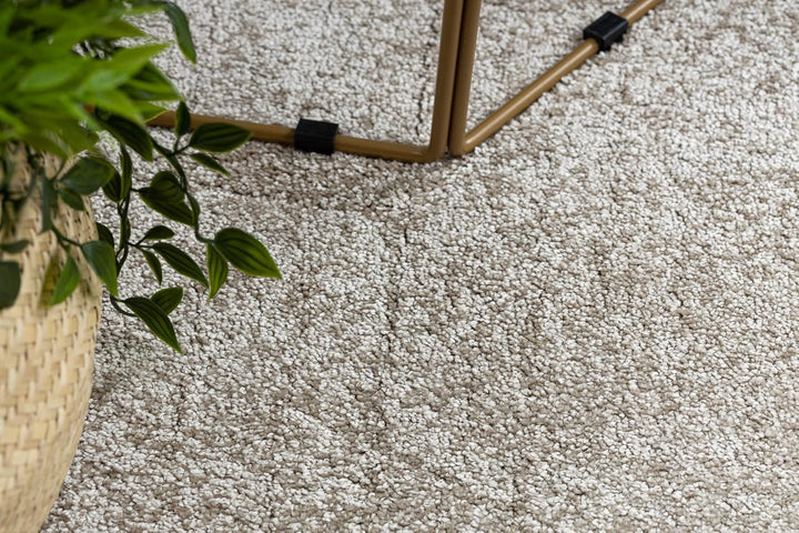 rugsx Teppich Teppichboden Santa FE beige 33 eben, glatt, einfarbig, 200x300 cm 200x300 cm Beige San