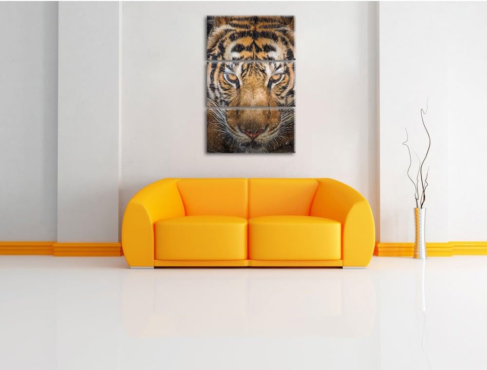 Pixxprint Tiger mit hellbraunen Augen / 3-Teilig/Gesamtmass 120cm Leinwandbild bespannt auf Holzrahm