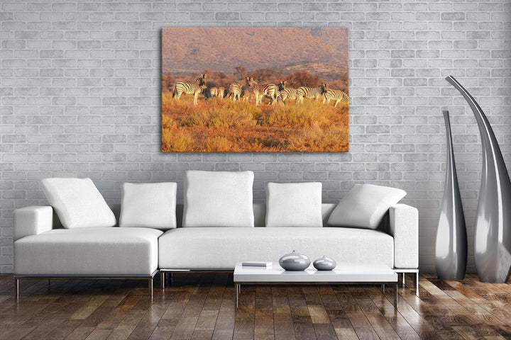 deyoli kleine Zebra Gruppe in der Savanne Format: 100x70 als Leinwand, Motiv fertig gerahmt auf Echt