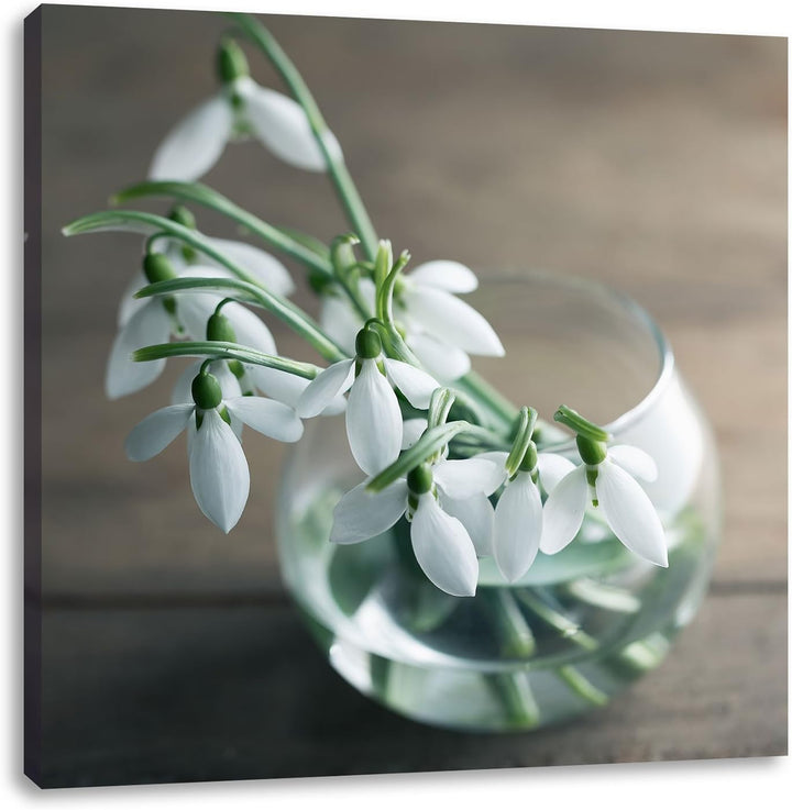Pixxprint Schneeglöckchen in der Vase als Leinwandbild/Grösse: 70x70 cm/Wandbild/Kunstdruck/fertig b