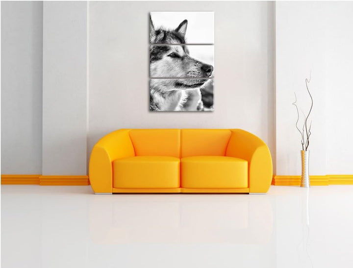 Pixxprint Monocrome, Husky im Schnee 3-Teiler Leinwandbild 120x80 Bild auf Leinwand