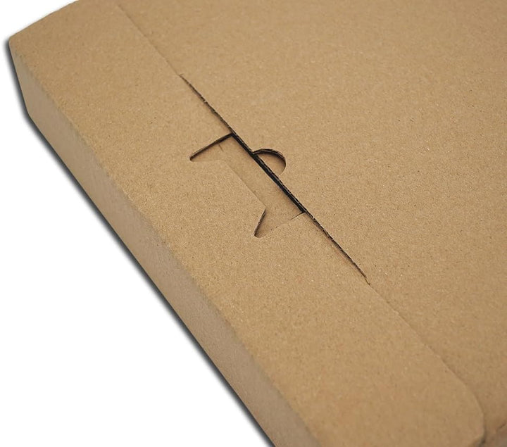 LP Schallplatten Versandkartons für 6-10 LPs Protected (50 Stück)