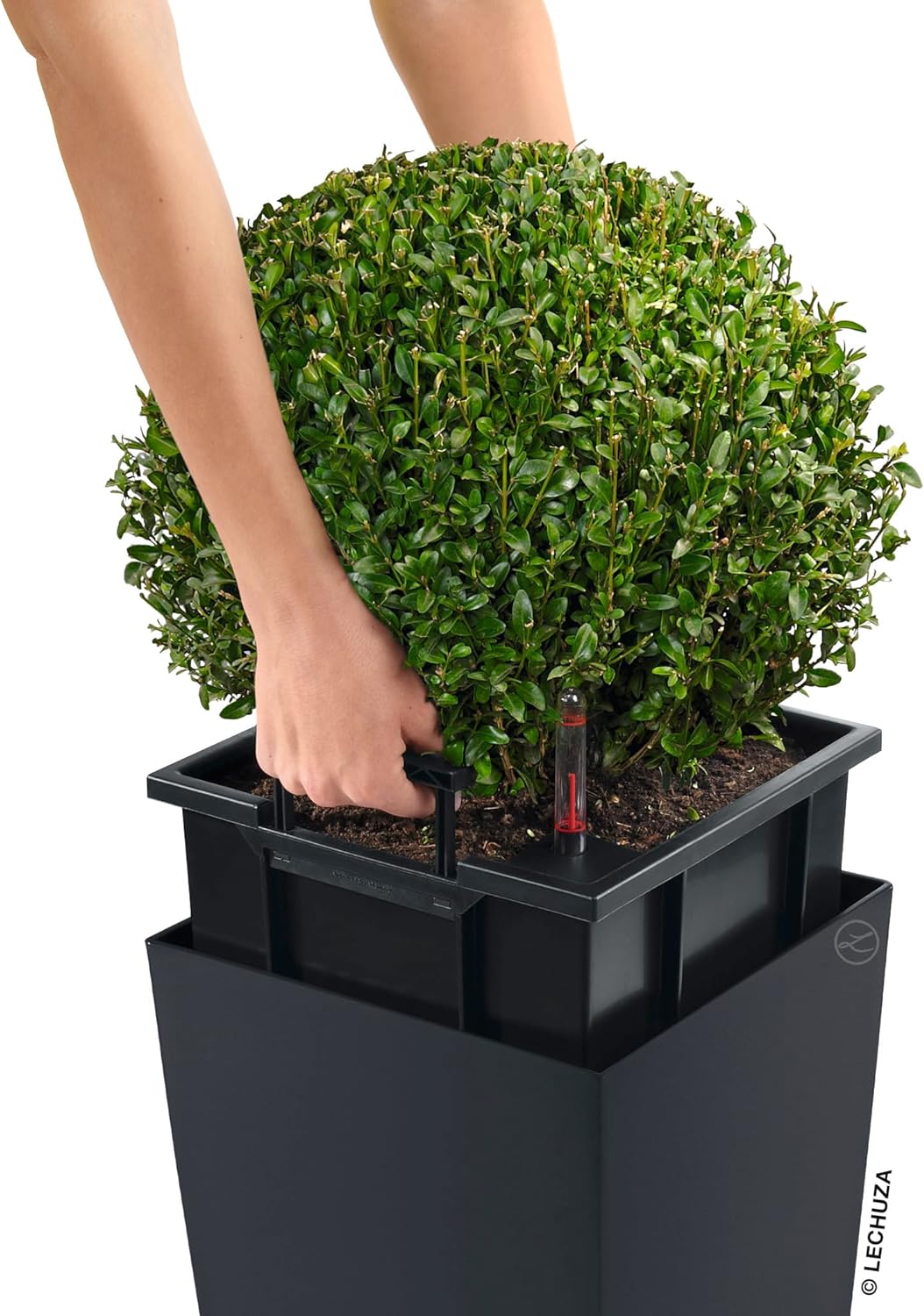 LECHUZA CUBICO Color 22 schiefergrau 13164 Schiefergrau 22x22x41 cm, Schiefergrau 22x22x41 cm