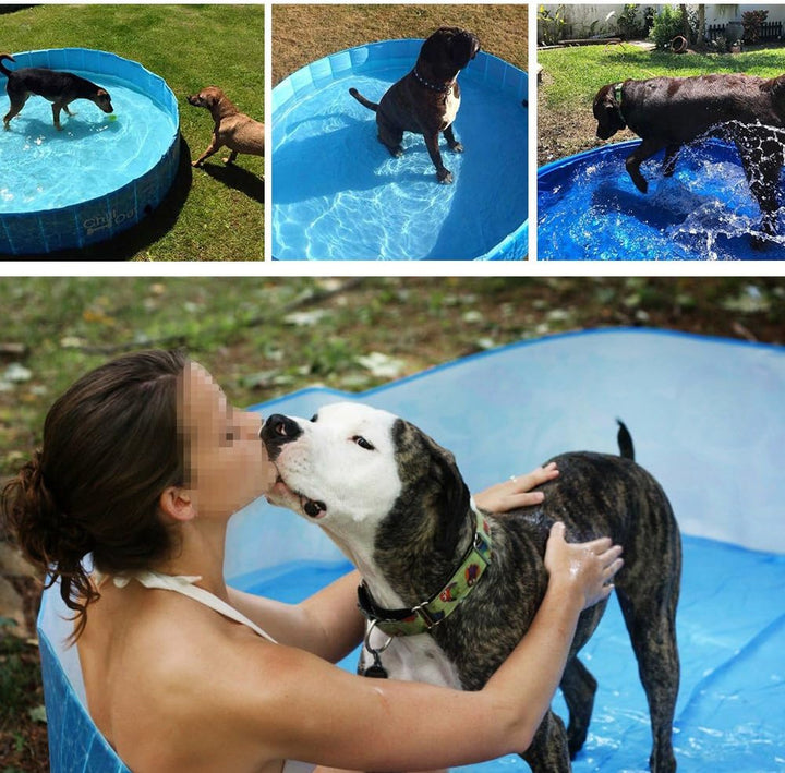 All for Paws 8002 Chill Out - Splash und Fun - Hundepool gross - 160 cm