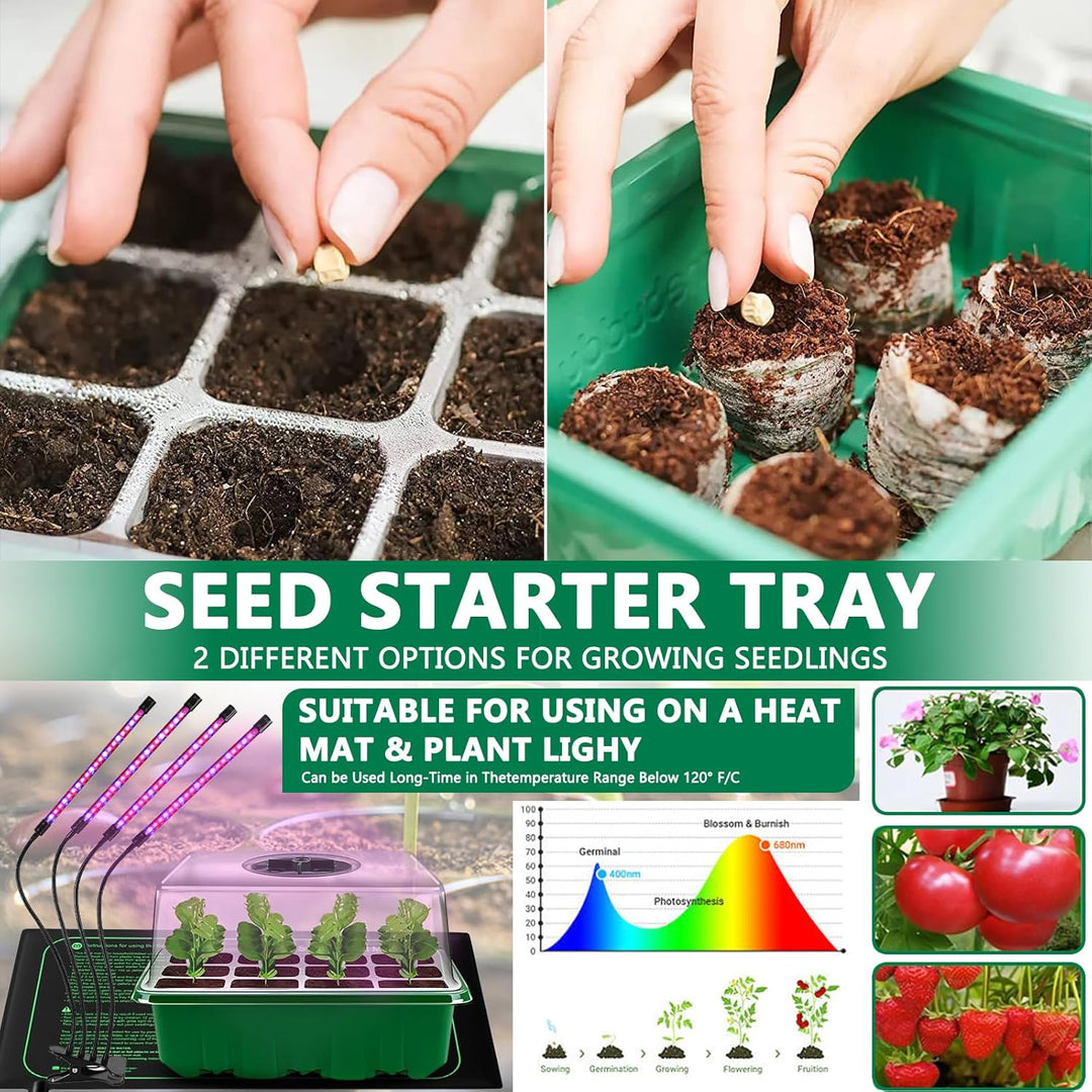 Zimmergewächshaus Anzuchtkasten, 10 Stück 120 Zellen Mini Gewächshaus Anzucht Set mit 2 Gartengeräte