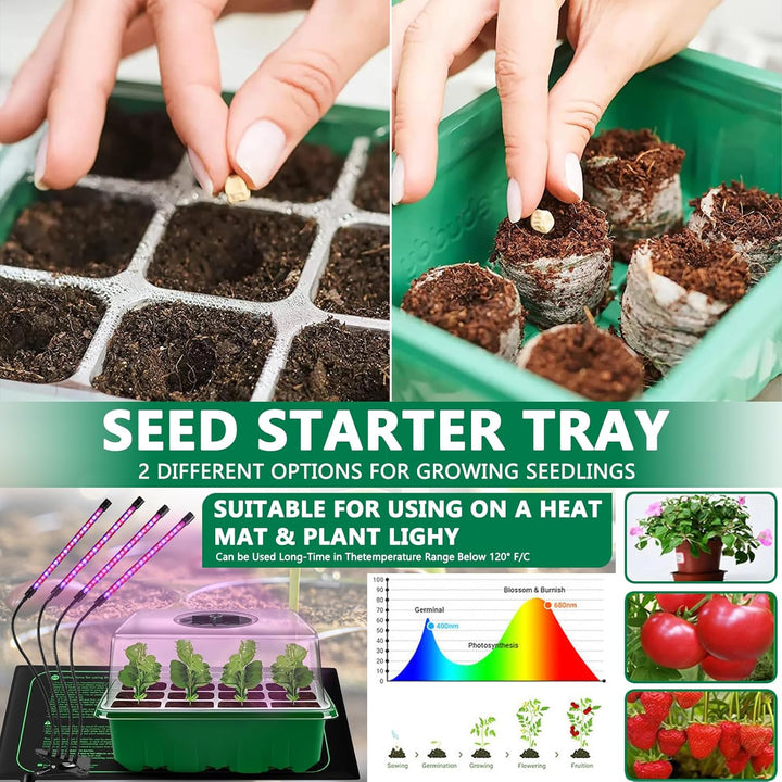 Zimmergewächshaus Anzuchtkasten, 10 Stück 120 Zellen Mini Gewächshaus Anzucht Set mit 2 Gartengeräte