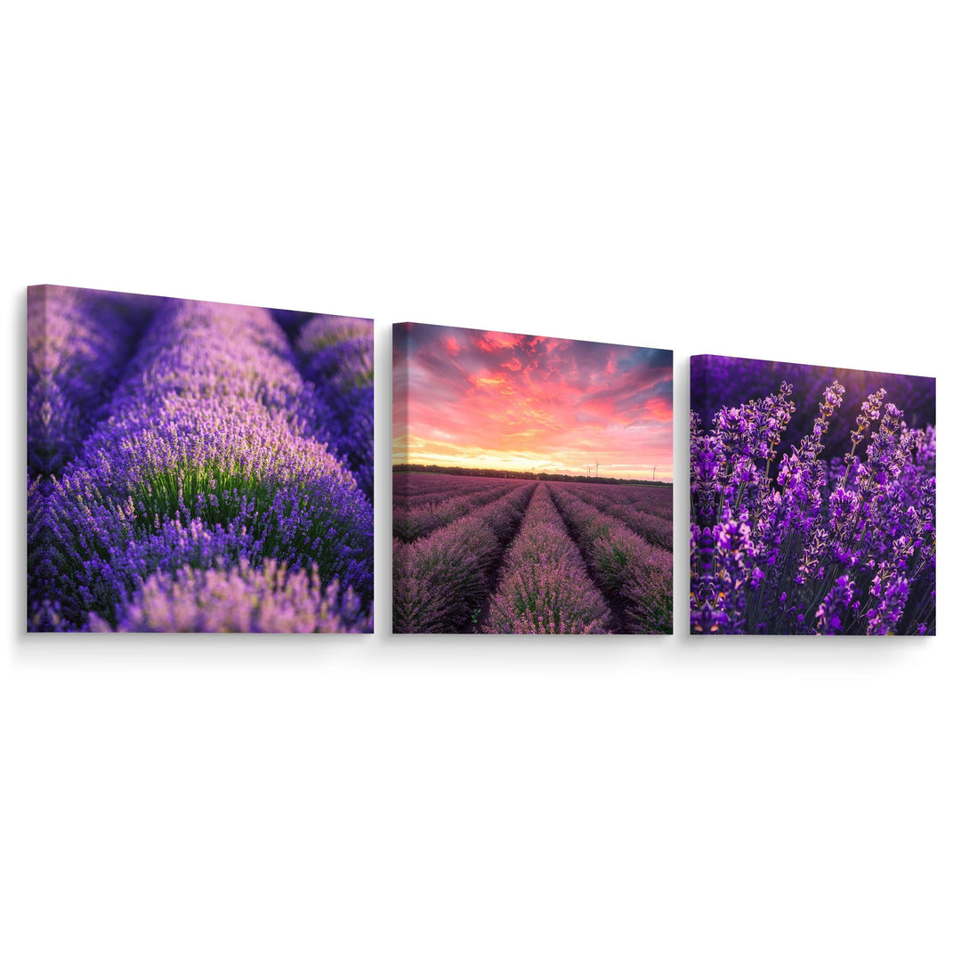 Muralo - Wandbilder Set - Leinwand Bilder Set Aufhängefertig - Bilder für Küche- Moderne Wanddeko -