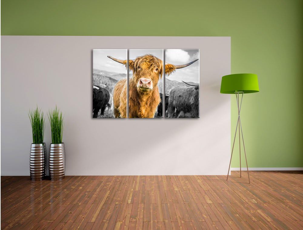 Pixxprint Niedlicher Blick Einer Kuh an der Weide B&W Detail 3-Teiler Leinwandbild 120x80 Bild auf L