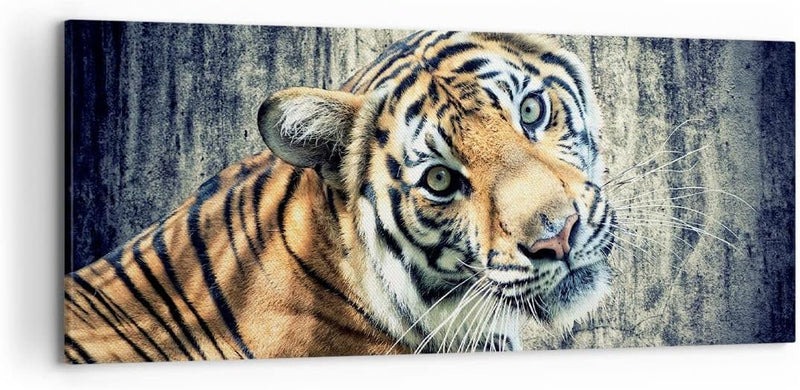 Wandbilder Dekoration Wohnzimmer Indien stein tiger wild Panorama Bilder auf Leinwand 120x50cm Leinw