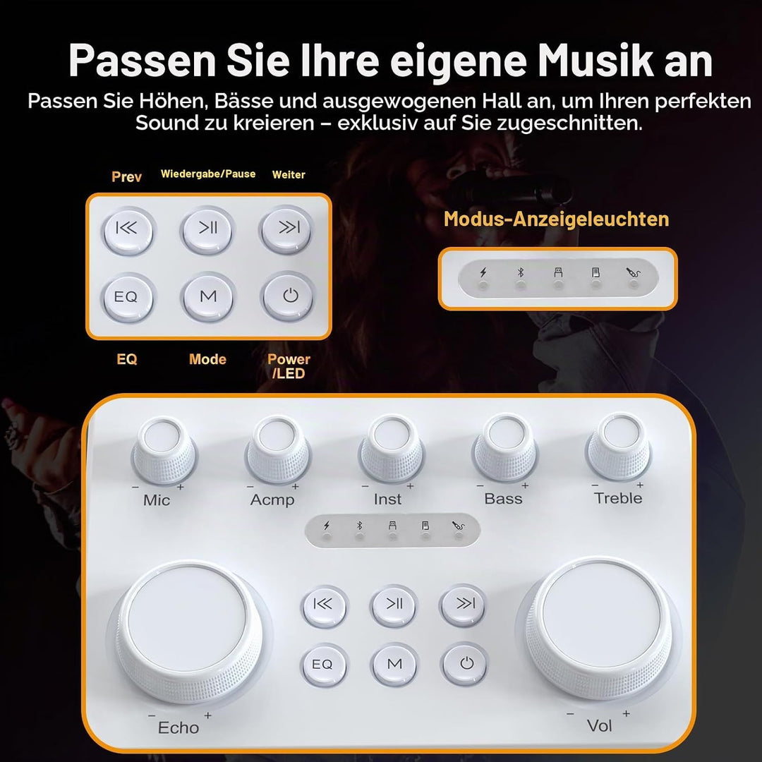 Tragbarer Bluetooth-Karaoke-Lautsprecher mit 2 kabellosen Mikrofonen, RGB-Beleuchtung, Höhen- und Ba