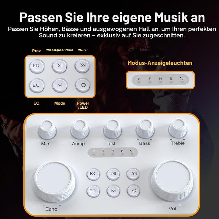 Tragbarer Bluetooth-Karaoke-Lautsprecher mit 2 kabellosen Mikrofonen, RGB-Beleuchtung, Höhen- und Ba