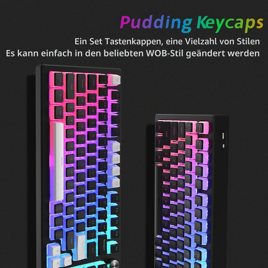 XVX Pudding Keycaps,141+24 Custom Keys Set, OEM Profile, Universal Compatiability for 100%, 75%, 65%