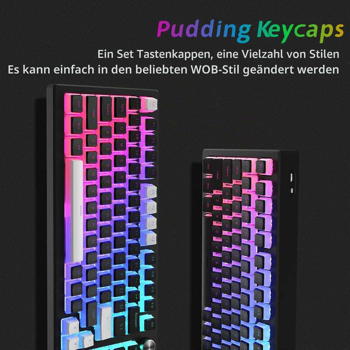 XVX Pudding Keycaps,141+24 Custom Keys Set, OEM Profile, Universal Compatiability for 100%, 75%, 65%
