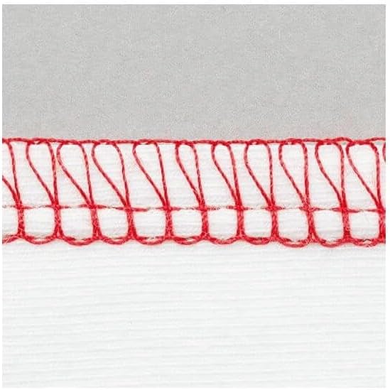 Bernina L 450