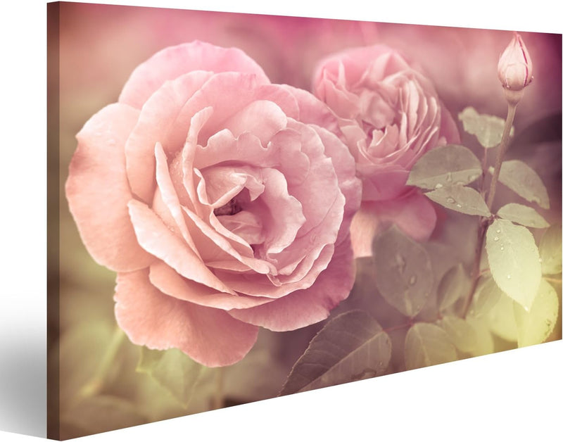 islandburner Bild auf Leinwand Abstrakt Pastel Rosa Rosen Mit Wassertropfen Bilder Wandbilder Poster