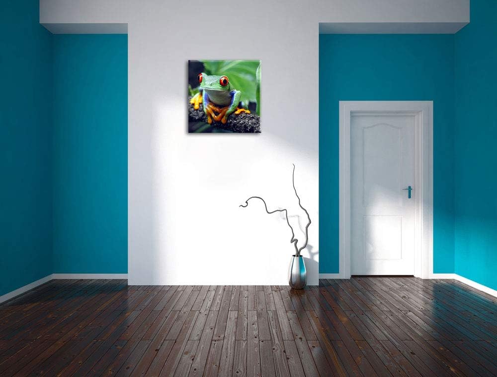 Rotaugenlaubfrosch auf Ast, Format: 70x70 auf Leinwand, XXL riesige Bilder fertig gerahmt mit Keilra