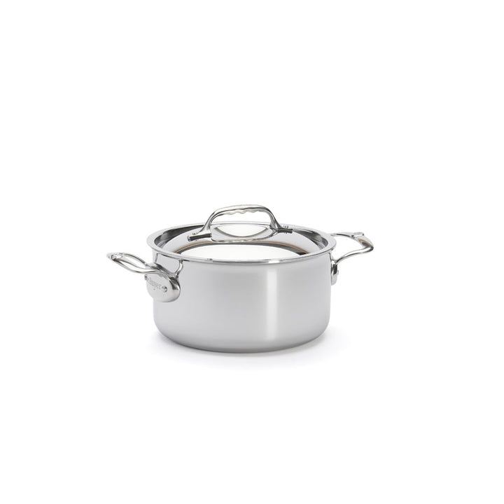 de Buyer - AFFINITY 5-lagiger Edelstahltopf mit Edelstahldeckel - 20 cm - 3742.20 Durchmesser 20 cm,