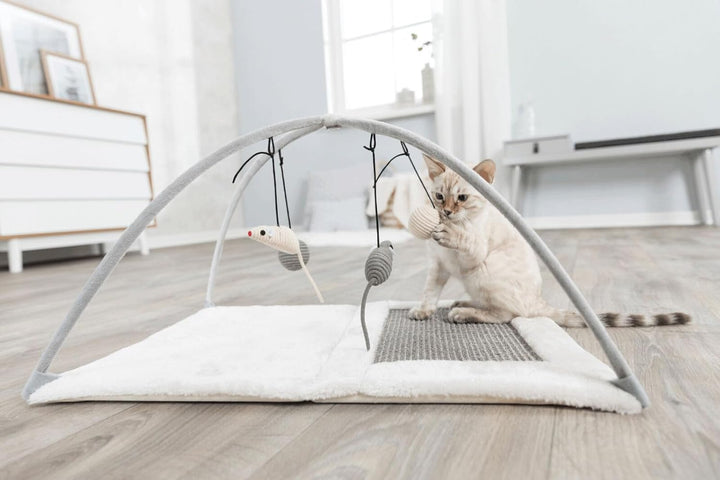 Trixie Katzenspielmatte mit Spielzeug und Sisal-Kratzfläche, Grau (43114), Norme, Grau