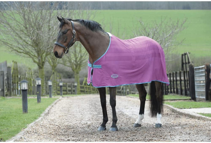 Weatherbeeta Fleece-Abkühler, Standardhals, Blaubeere/Pink Blueberry/Pink 6ft6, Blueberry/Pink 6ft6