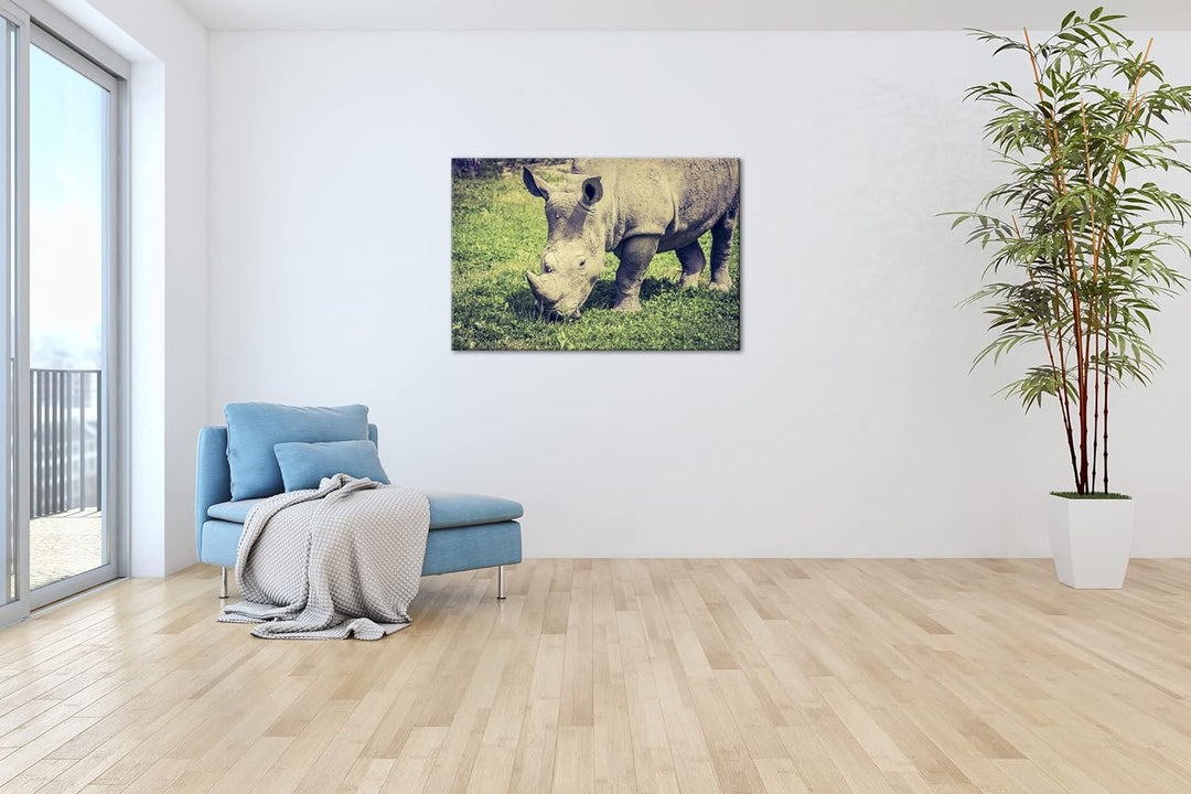 deyoli edles Nashorn Format: 80x60 als Leinwand, Motiv fertig gerahmt auf Echtholzrahmen, Hochwertig