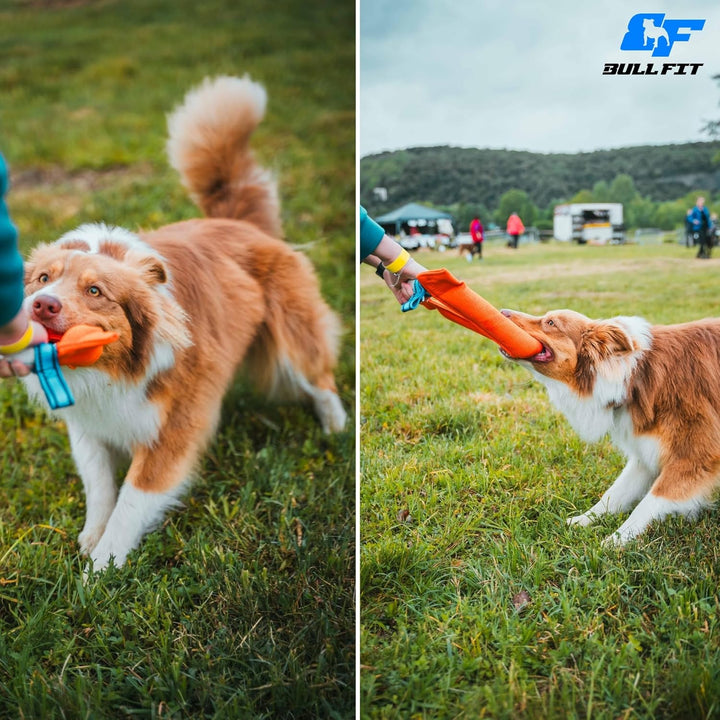 Bull Fit Hufeisen Beisswurst für Hunde 30 cm, Sehr Robustes Hundespielzeug zum Training, Tauziehen u