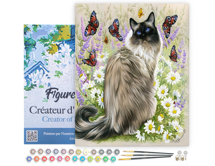 Figured'Art Malen Nach Zahlen Erwachsene Mit Rahmen Katze und Schmetterlinge - Paint by Numbers Bast